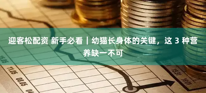 迎客松配资 新手必看｜幼猫长身体的关键，这 3 种营养缺一不可